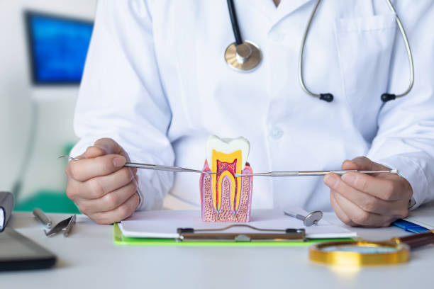 Best Mobile Emergency Dentist in Jeffersontown, KY